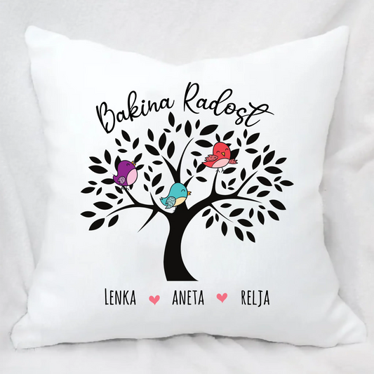 Bakina Radost - Jastuk (izmena posvete i broj osoba)