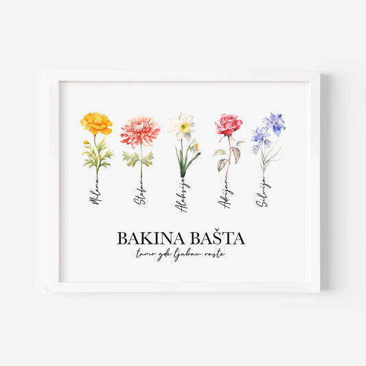 Bakina Bašta - Poster