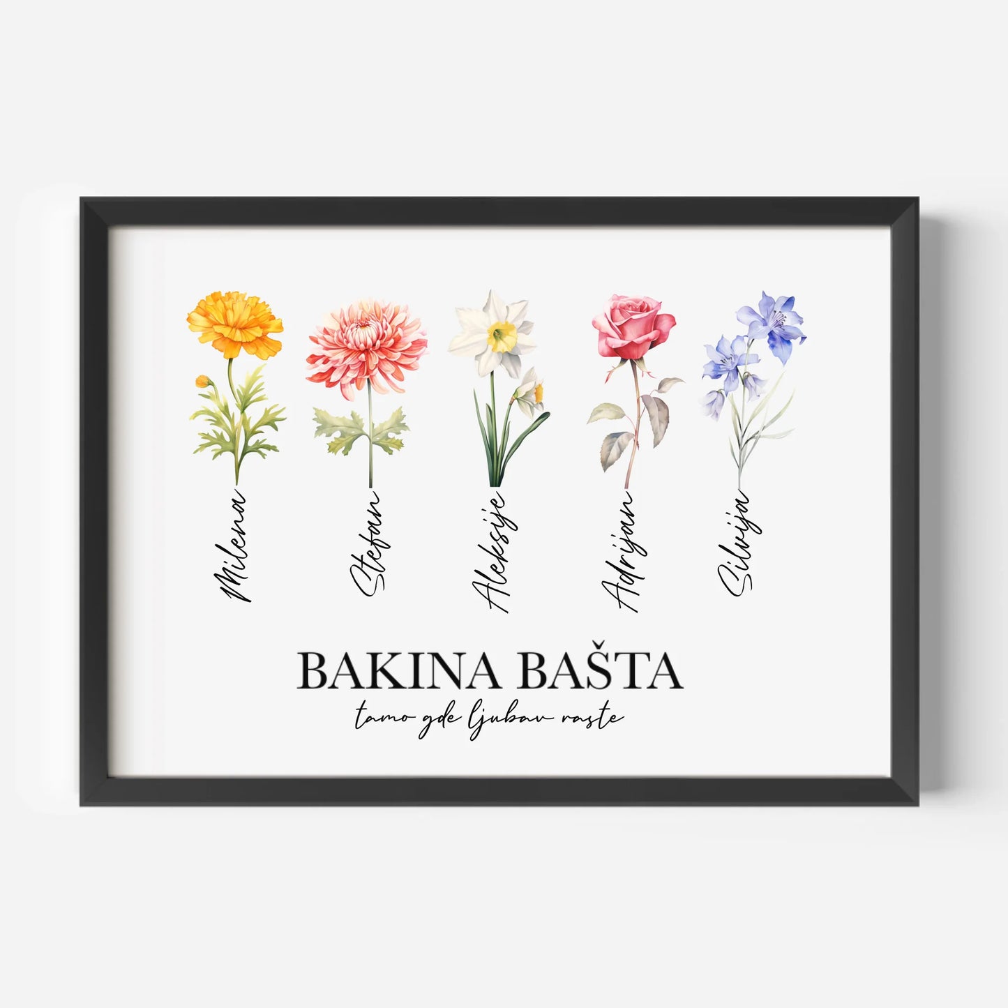 Bakina Bašta - Poster
