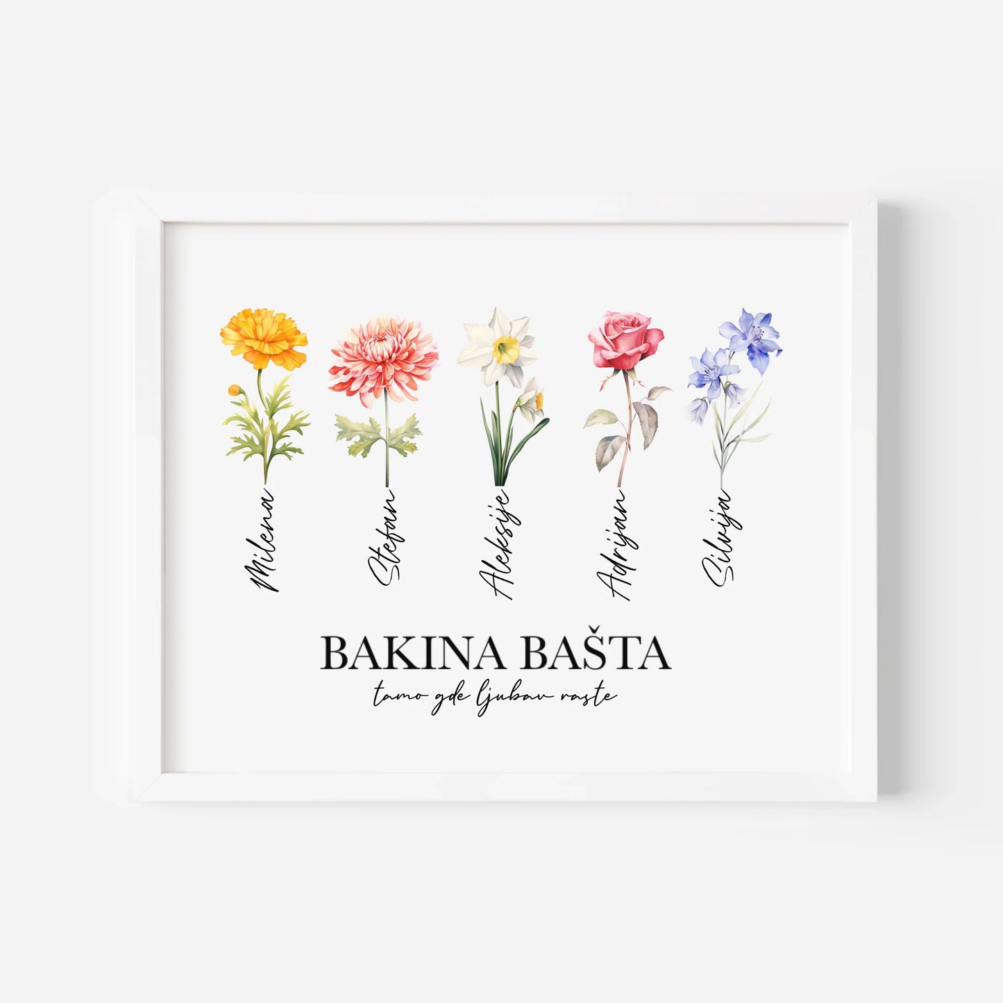 Bakina Bašta - Poster